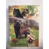 Carin Terrier Cards