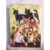 Chihuahua Cards
