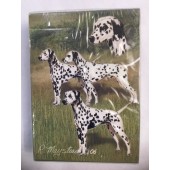 Dalmatian Cards