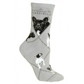 French Bulldog Socks on Gray Size 10-13