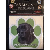 Newfoundland Magnet